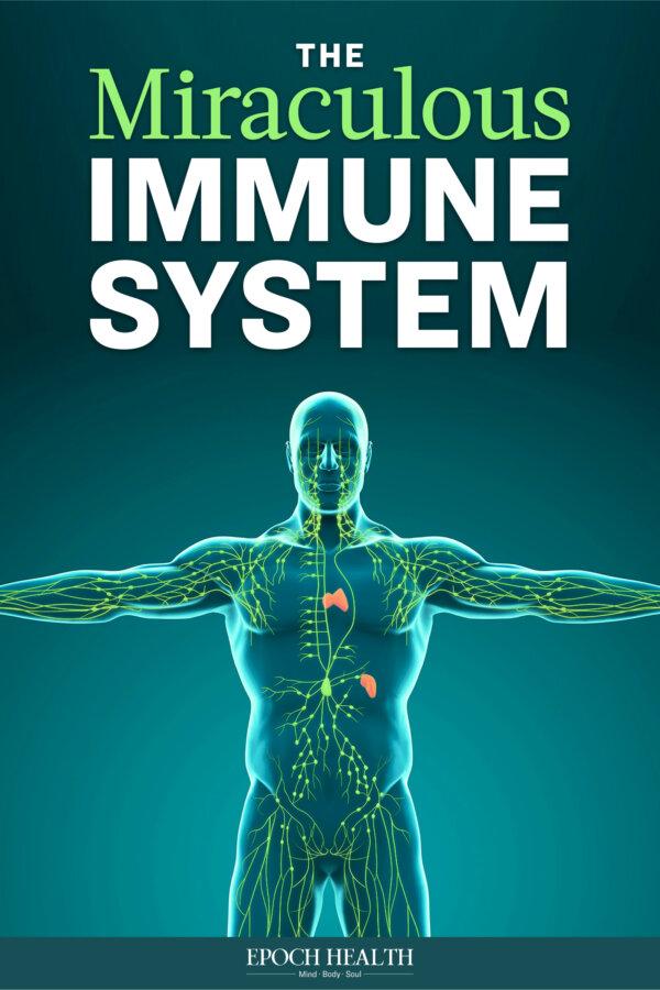 The Miraculous Immune System