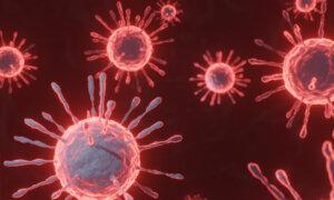 NSW Health Department Tells Community to ‘Stay COVID-19 Safe’