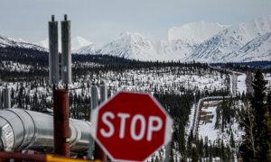 US Crude Oil Reserves Register Uptick