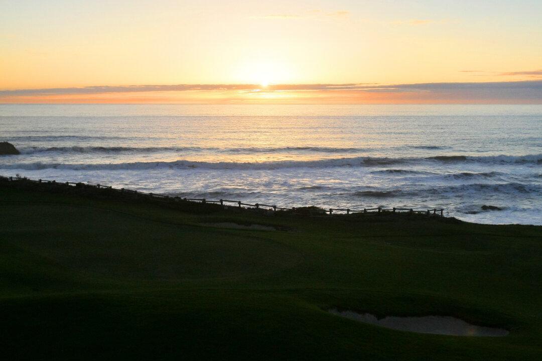 Woman’s Body Found in Water Near Where Small Plane Crashed in Ocean South of San Francisco