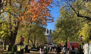 98 Percent of Academic Job Postings in Canada Use DEI Screening: Study
