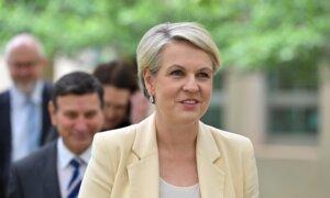 Labor to Introduce Bill to Cut Student Debt by 20 Percent in 2nd Term