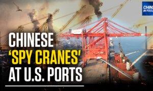 Biden Signs Executive Order on Chinese Cranes