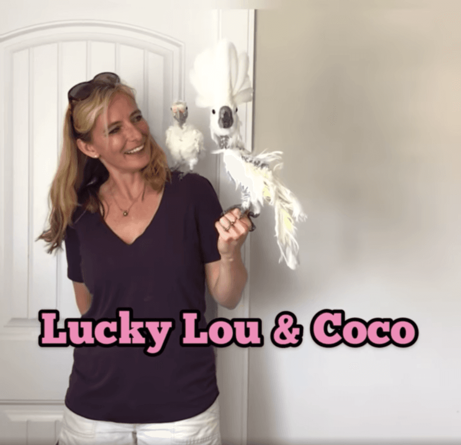 Mrs. Morrison with Coco and Lucky Lou. (Courtesy of <a href="https://www.facebook.com/luckyloucocotoo">Lucky Lou and Coco Too</a> <a href="https://www.instagram.com/luckyloucocotoo">@luckyloucocotoo</a>)