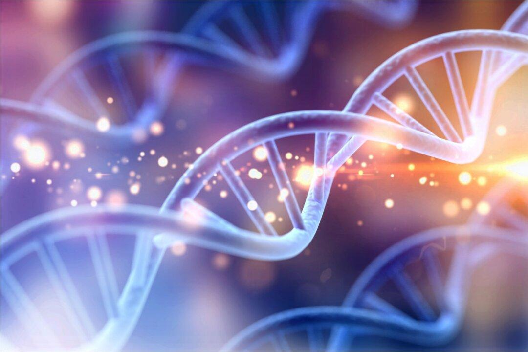 Genes Don’t Tell the Whole Story of Life
