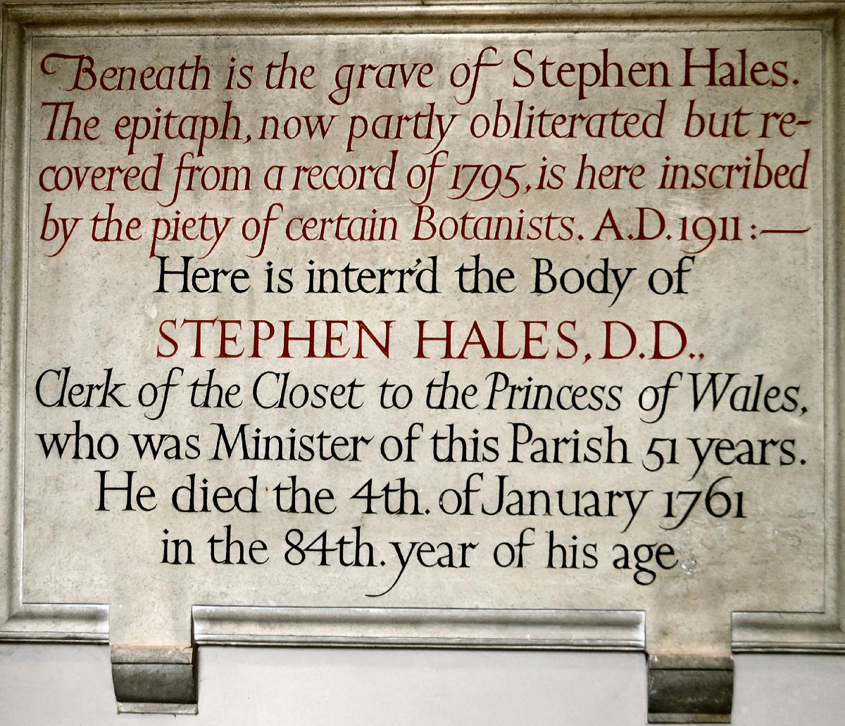 Monument for scientist and clergyman Stephen Hales at St Mary's church, Teddington. (<a href="https://commons.wikimedia.org/w/index.php?title=User:AndyScott&action=edit&redlink=1">AndyScott</a>/<a href="https://creativecommons.org/licenses/by/4.0/deed.en">CC BY-SA 4.0</a>)