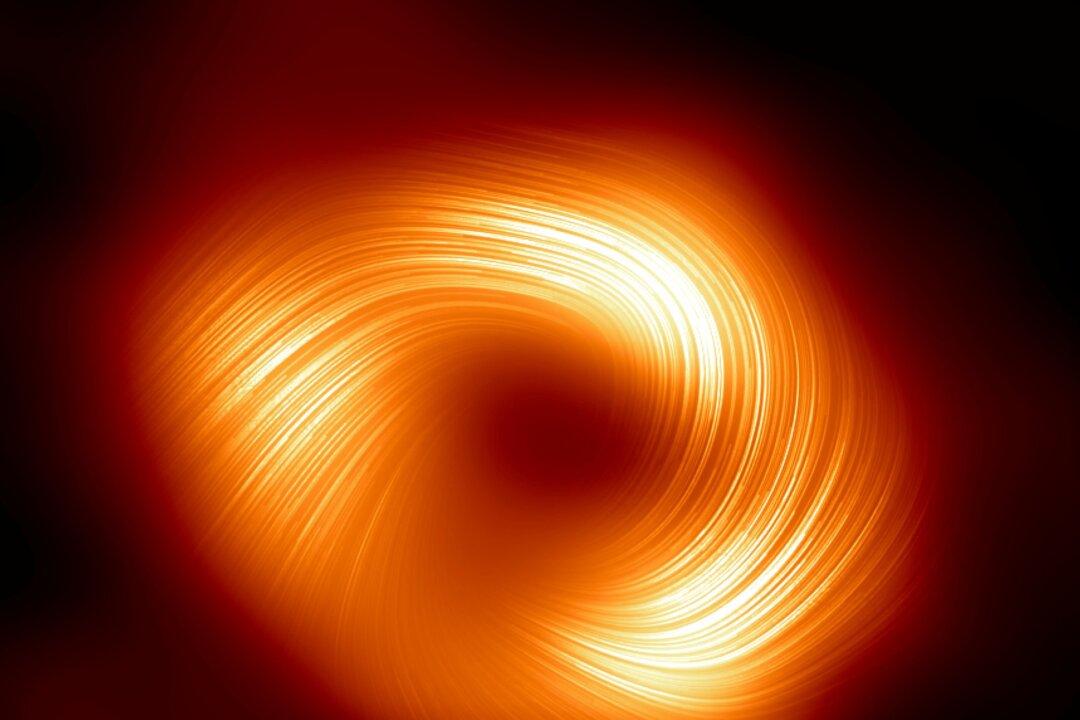 Twisted Magnetic Field Observed Around Milky Way’s Central Black Hole