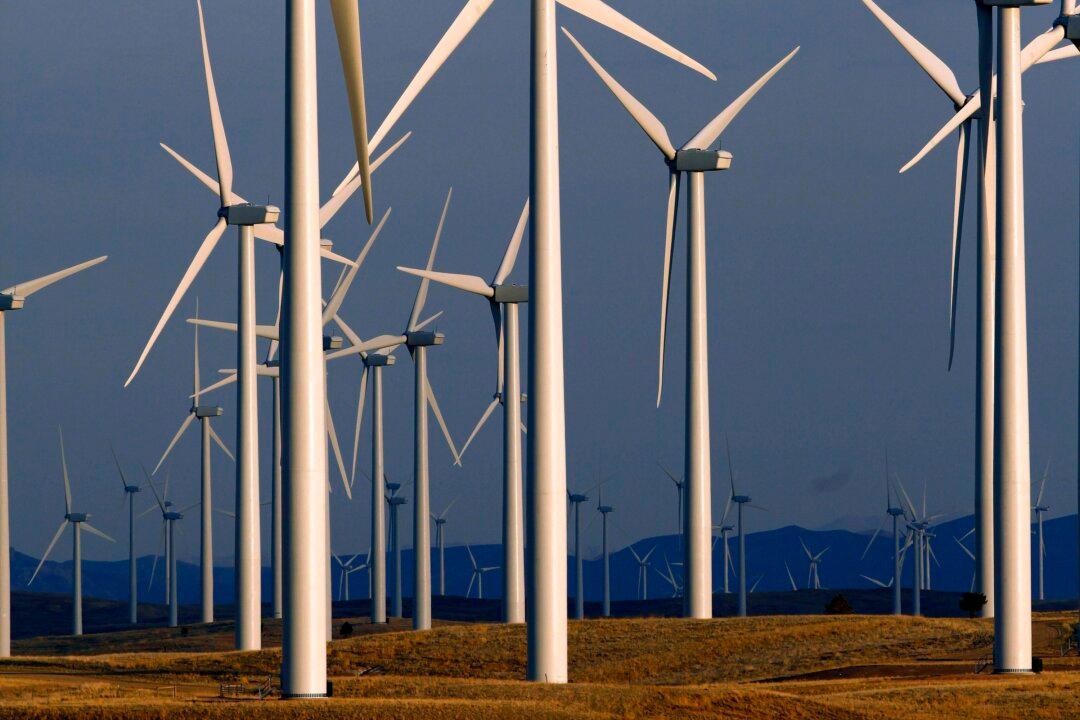 What If Renewable Energy Is a Racket?