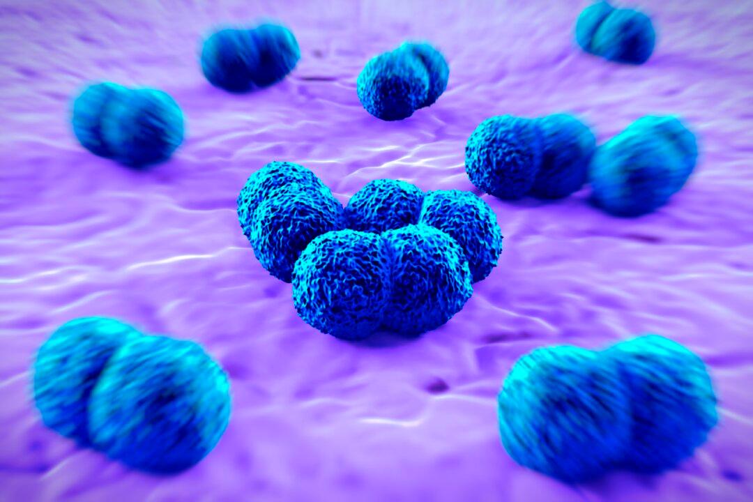 CDC Warns of Alarming Rise in Deadly Meningococcal Disease Cases