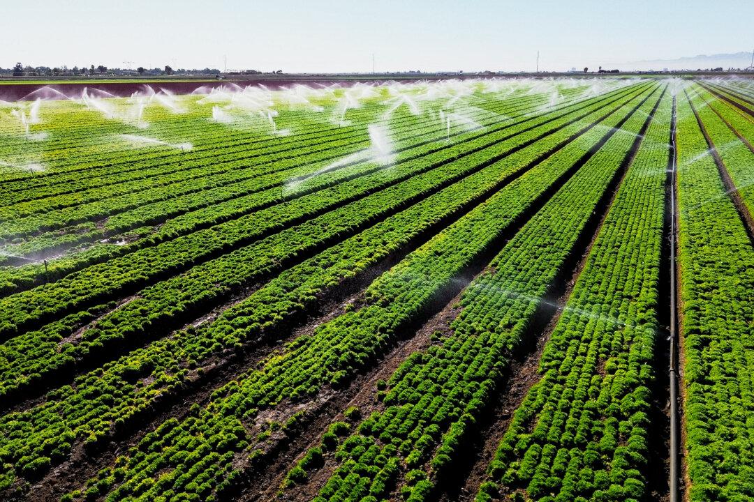 Pentagon, USDA Announce Collaboration to Bolster Agricultural Security