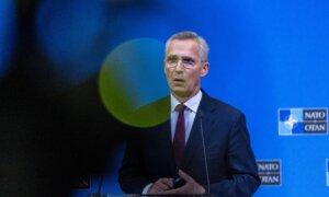 NATO Chief: Alliance Does Not Plan to Send Troops to Ukraine