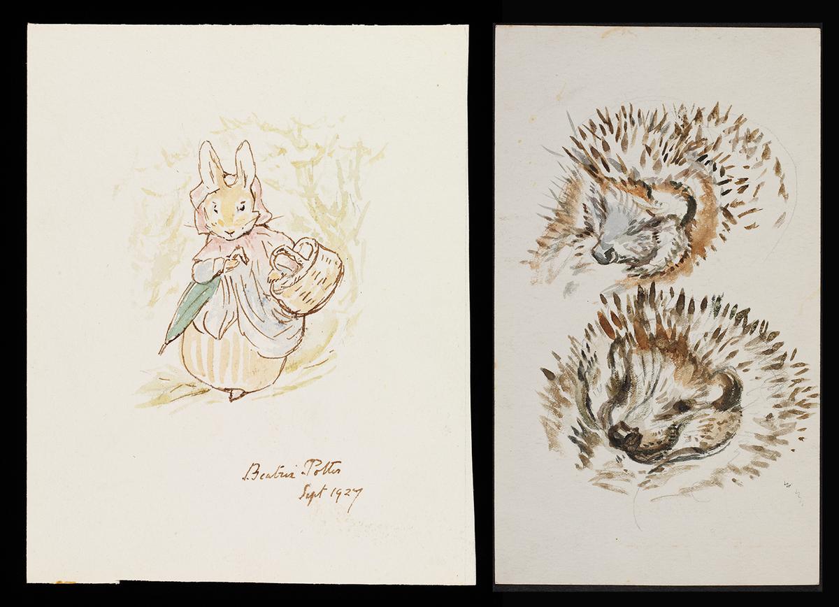 (L) An illustration of Mrs. Rabbit shopping for Windermere Fund in 1927 and a drawing of a hedgehog, assumed to be Mrs. Tiggy, circa. 904, by Beatrix Potter. © Victoria and Albert Museum, London. (Courtesy of The Morgan Library & Museum)