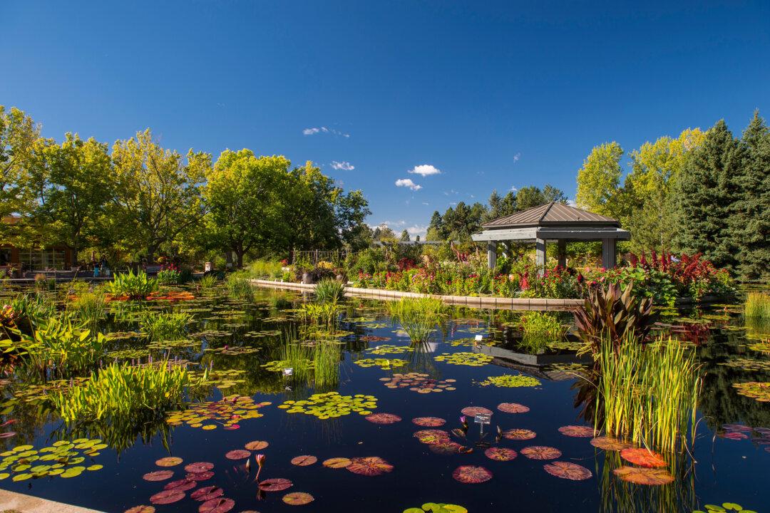 A Denver Botanic Gardens Membership Will Get You in Free to 300 Other Gardens. Is There One Near You?