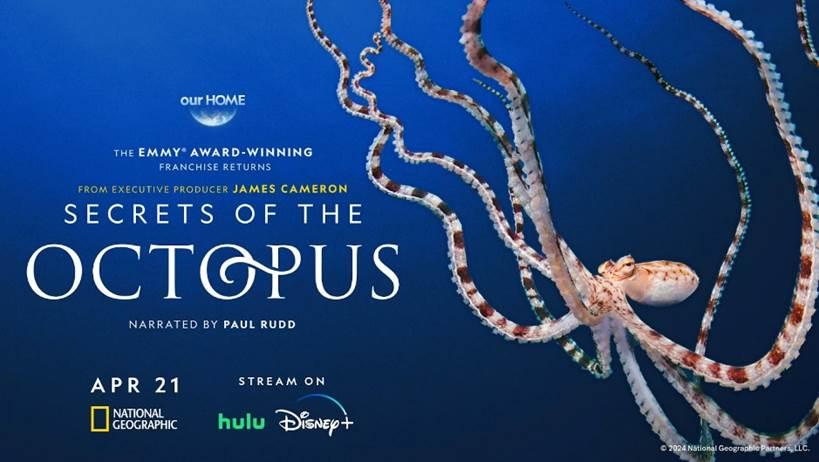 Poster for the TV docuseries "Secrets of the Octopus." (National Geographic)