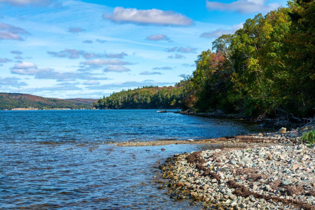Nova Scotia Faces Complaints, Opposition After Banning Going Into Woods Due to Wildfire Risk