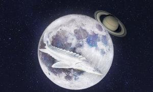 Full ‘Sturgeon’ Supermoon to Pass in Front of Saturn Late August—First Supermoon of the Year