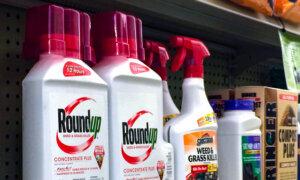 Court Rules for Bayer-Owned Monsanto in Weed Killer Cancer Case