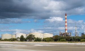 Qantas Buys Into Planned Biofuel Plant in New Zealand