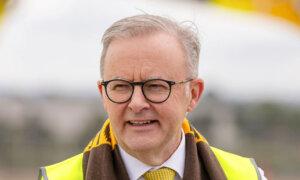 Albanese Criticises Proposed Cut to GST Distribution Linked to Slow Home Building