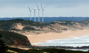 Wind Farm Project Faces Long-Haul Opposition from Local Community Group