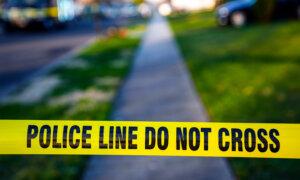 3 Dogs That Fatally Mauled Their Owner in San Diego Park Are Euthanized