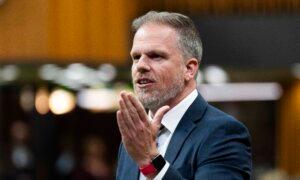 Dental-Care Program Hits 1 Million Patients in First Six Months, Coverage Expands