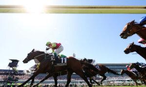 ‘They Don’t Know What They’re Talking About’: Top Trainer Refutes Animal Welfare Criticism