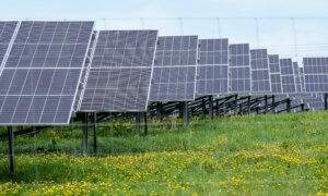 UK Solar Push Sparks Concerns Over China Reliance and Labour Practices