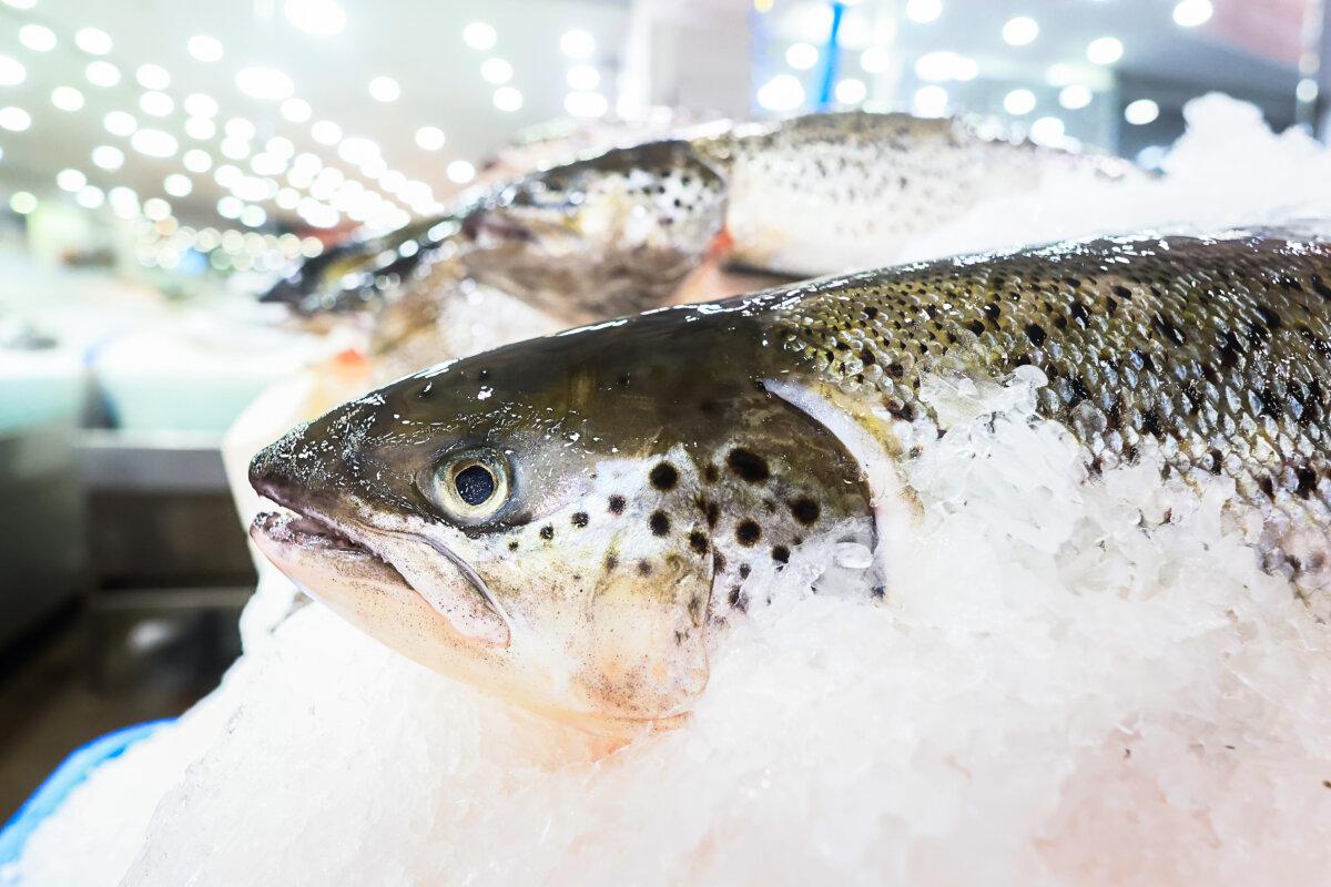 Whole Tasmanian Salmon is displayed at Sydney Fish Market in Australia on Dec. 23, 2023. (Jenny Evans/Getty Images)