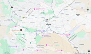 Truck Hits Van Carrying Polish Tourists in Kenya, Killing 2