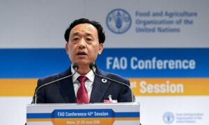 US Lawmakers Sound Alarm Over China Ties to UN Food Program