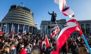 Over 300,000 Submissions for Contentious Race Bill Causes NZ Parliament Website to Crash