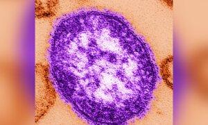 Alberta Reports New Measles Cases and Potential Exposures, Bringing Active Total to 14