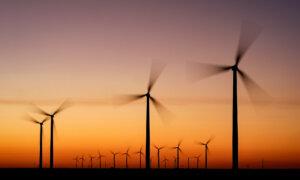 2 Queensland Wind Farm Proposals Put on Hold for Community Input