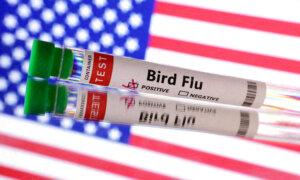 First Human Case of Bird Flu Identified in Wyoming