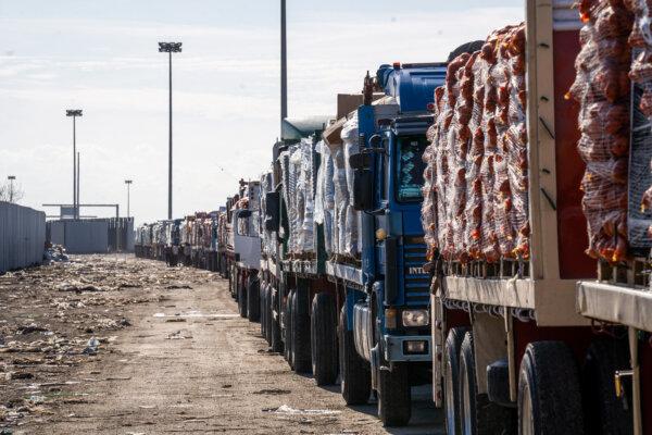 Trucks carrying aid are waiting in front of the Rafah crossing to enter the Gaza Strip in Rafah, Egypt, on Feb. 1, 2025. (Ali Moustafa/Getty Images)