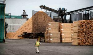 Canada’s Forestry Sector Faces Uncertainty With 25 Percent US Tariffs