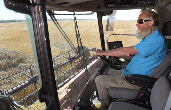 A farmer drives a harvester at a farm near Inverleigh, Australia, on Jan. 12, 2021. (William West/AFP via Getty Images)