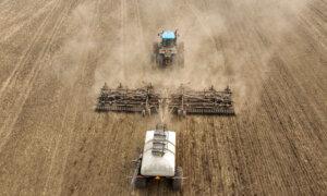 ‘A Wake-Up Call’: Report Urges Agri-Food Export Diversification Amid Tariff Threat