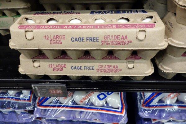 A dozen cage-free eggs for sale for $10.99 at a grocery store in Glendale, Calif., on Jan. 6, 2025. (Robyn Beck/AFP via Getty Images)