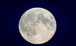 Canadian-Made Lunar Dust Repellent Heading to the Moon Aboard Firefly’s Blue Ghost