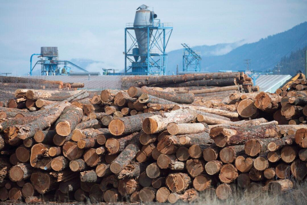US Raises Duties on Canadian Lumber to Over 35 Percent