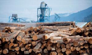 US Plans to Nearly Triple Anti-Dumping Duty on Canadian Softwood as Tariffs Loom