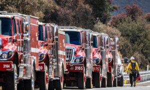 California Emergency Order Aims to Lower Fire Risk by Speeding Up Removal of Brush, Dead Trees