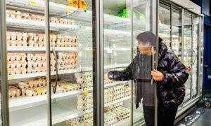 Largest US Egg Producer Cal-Maine Under DOJ Price Investigation