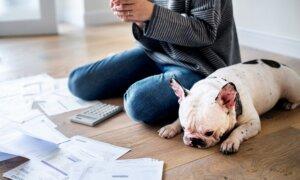 Credit Cards. Auto Loans. Trouble Ahead?