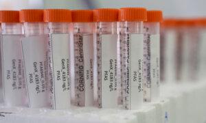 Canada Advances Toxic Label for ‘Forever Chemicals,’ Phased Regulation Approach