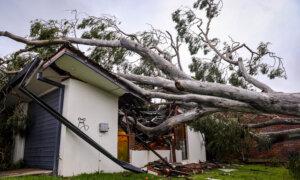Insurance Council Calls for Quick Claim Lodgment for Ex-Cyclone Alfred Damages