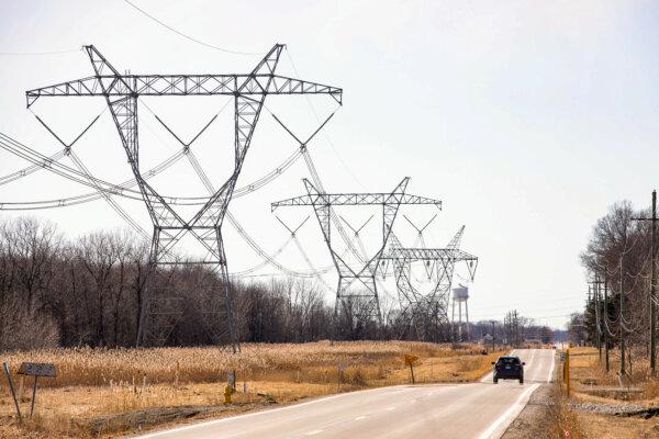 Transmission towers that carry high-voltage electricity are show in East China Township, Mich., on March 8, 2025. (Bill Pugliano/Getty Images)