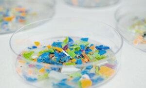 Microplastics in the Environment May Fuel Antibiotic Resistance
